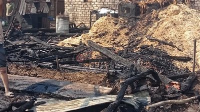 نفوق رؤوس ماشية في حريق التهم حظيرة بالمنوفية