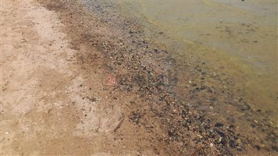 ننشر الصور الأولى للتلوث البترولي بعد وصوله شمال الغردقة