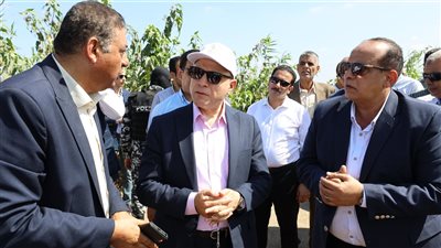 محافظ كفر الشيخ: حزمة حوافز للمزارعين لتجميع قش الأرز وتحويله لسماد عضوي وأعلاف 