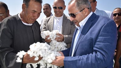 محافظ بورسعيد يشارك مزارعي سهل الطينة الاحتفال بعيد الفلاح.. ويشيد بإنتاجية محصول القطن