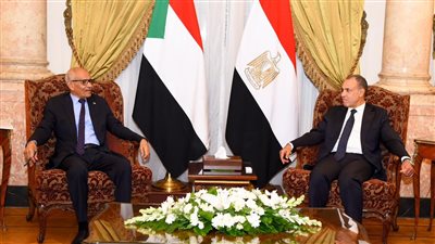 وزير الخارجية يستقبل نظيره السوداني.. ويبحثان جهود حل الأزمة في الخرطوم 