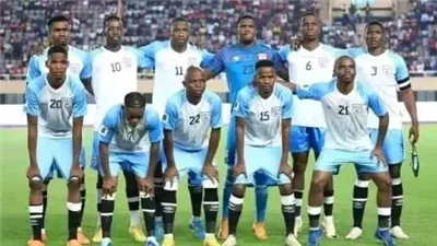  رئيس اتحاد بوتسوانا لكرة القدم: كان يجب وضع موافقة مصر على تعديل الموعد في الحسابات