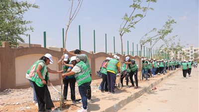 البيئة: زراعة 273 شجرة حول مدرسة عبد المنعم رياض بالعاشر من رمضان | صور 