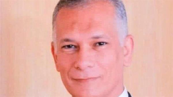 المهندس إبراهيم فتحي