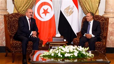 وزير الخارجية يلتقي نظيره التونسي على هامش اجتماع الجامعة العربية 