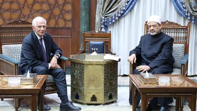 شيخ الأزهر للممثل الأعلى للاتحاد الأوروبي: هل هناك حل للمهزلة التاريخية الكبرى في غزة؟