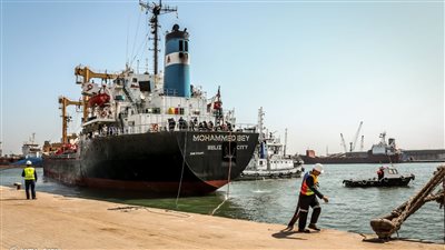 ميناء دمياط يستقبل 3918 رأس ماشية بإجمالي وزن 1306 أطنان