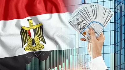 %32 زيادة في أعداد الأجانب الحاصلين على ترخيص عمل في مصر عام 2024