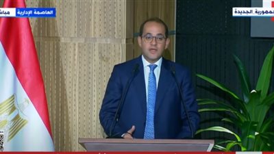 وزير المالية: تم تجهيز منظومة متكاملة تخاطب جميع المنشآت الصغيرة
