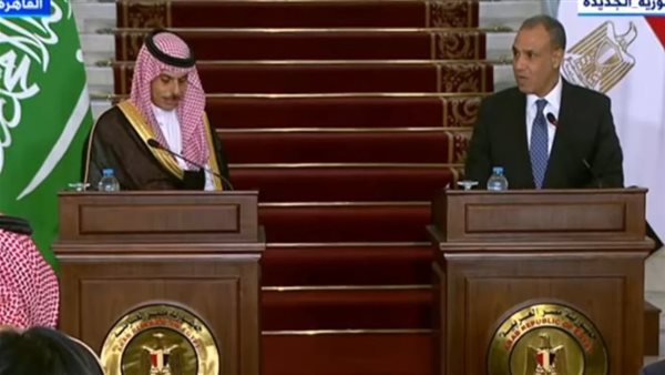 وزيرا خارجية مصر