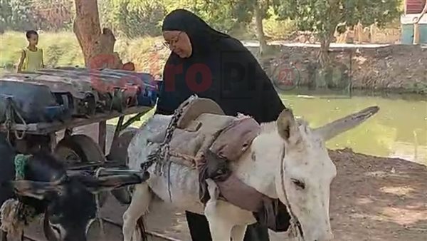 أم عبد الرحمن تبيع