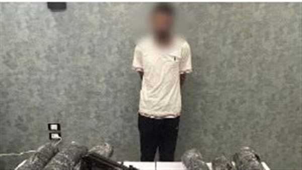 عنصر إجرامي 