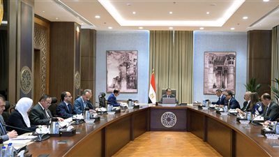 مدبولي: ضرورة وضع معايير واضحة لمنظومة السيارات لضبط السوق وحماية المستهلكين