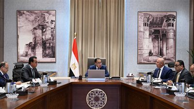 رئيس الوزراء: توفير جميع الحوافز والدعم لصناعة الدواء