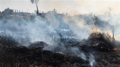 الحماية المدنية تسيطر على حريق أرض زراعية بأسوان