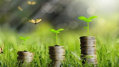 معلومات الوزراء: مصر تستهدف زيادة نسبة الاستثمارات الخضراء لـ50%