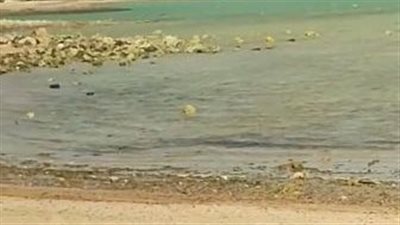 انحسار المياه على شواطئ الغردقة بسبب ظاهرة الجزر.. واستمرار مكافحة التلوث البترولي | بث مباشر