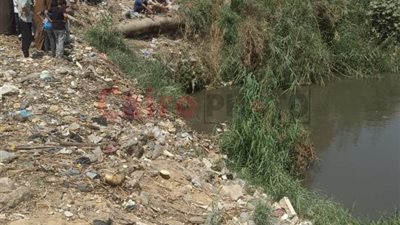 كانوا راجعين من جني محصول القطن.. مصرع شاب وإنقاذ 12 آخرين إثر سقوط تروسيكل في بحر بالفيوم