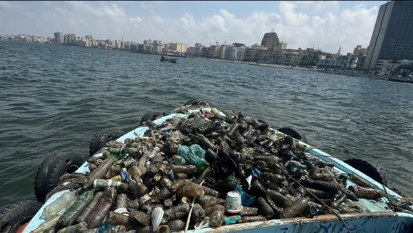 تجميع 100 كجم من