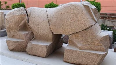 المتحف المصري بالتحرير يعرض تمثالًا لـ أبو الهول يعود إلى العصر المتأخر