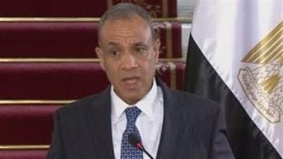 وزير الخارجية: لا تفريط في قطرة مياه واحدة من حصة مصر بمياه النيل