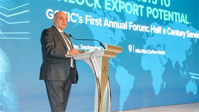 نائب وزير المالية: سياسات مالية محفزة للتدفقات الاستثمارية والإنتاجية والتصديرية