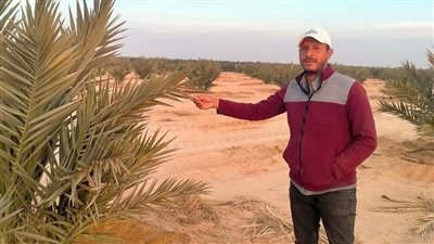 مصرع مهندس زراعي في حادث مروري بالوادي الجديد 