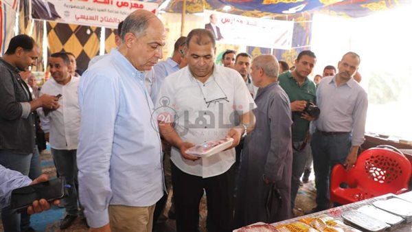 محافظ المنيا