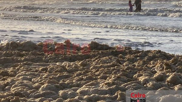 زبد البحر على شاطئ