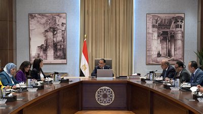 رئيس الوزراء: أتابع إجراءات إدخال أكبر قدر ممكن من الطاقة الجديدة والمتجددة على الشبكة