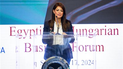 المشاط: تعزيز فرص الشراكات الاستثمارية بين القطاع الخاص المصري والمجري في مجالات الطاقة المتجددة