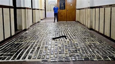 ضبط عنصر إجرامي لاتهامه بحيازة مخدرات بـ 12 مليون جنيه بالإسكندرية