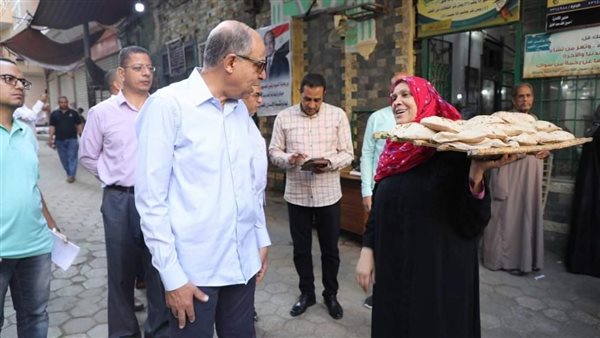 محافظ المنيا