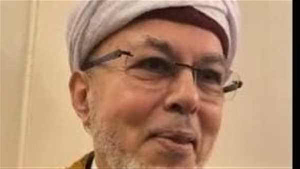 صلاح الدين التيجاني