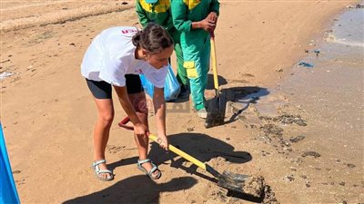 بمشاركة فتيات أجنبيات.. مكافحة يدوية للتلوث البترولي بالمنطقة الشمالية لشواطئ الغردقة| صور