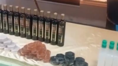 انطلاق المهرجان المصري للزيتون في مطروح بنسخته الثالثة| بث مباشر