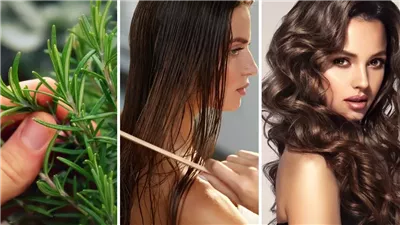 طريقة عمل زيت الروزماري في المنزل.. وصفة يومية تعالج جميع مشاكل شعرك