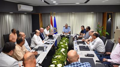 محافظ أسوان: تنظيم قوافل طبية مجانية بمناطق أبو الريش ودراو