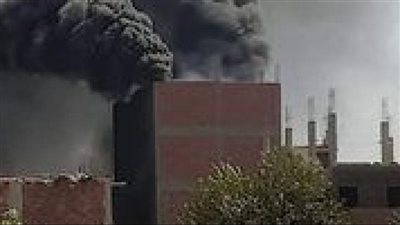 تفاصيل حريق داخل مزرعة مواشٍ بالغربية ونفوق وإصابة عدد من الماشية وخسائر 4 ملايين جنيه| بث مباشر