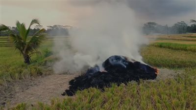 غرامات تصل لـ مليون جنيه.. مجلس دسوق بكفر الشيخ يحذر من حرق قش الأرز 