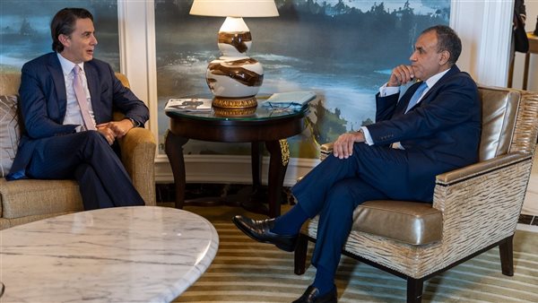 وزير الخارجية يلتقي