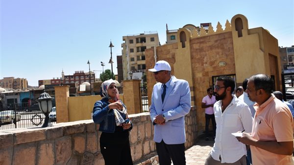 محافظ أسوان