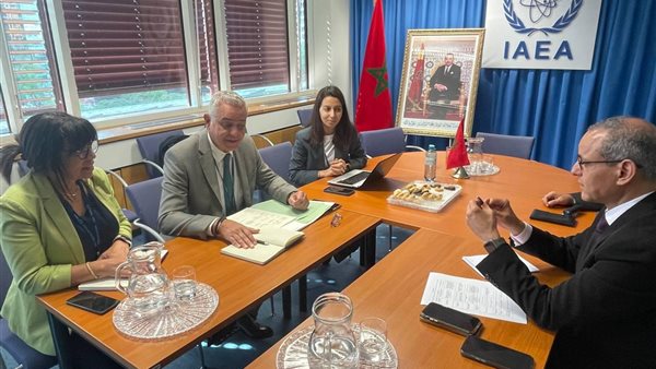 الرقابة النووية