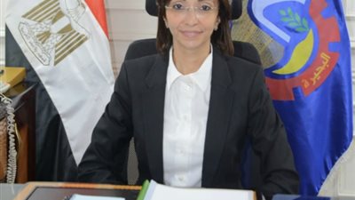 محافظ البحيرة تقيل مدير مشروع الرصف الإنتاجي وإحالة الملف للنيابة