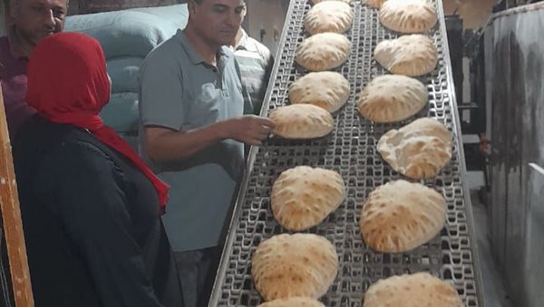 جانب من الحملات 