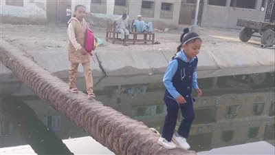 شايلين كفنهم في شنطهم.. تلاميذ يعبرون على جذع نخلة فوق ترعة للوصول إلى مدرستهم بقنا| صور