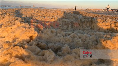 زبد البحر يكسو شواطئ محافظة بورسعيد| صور