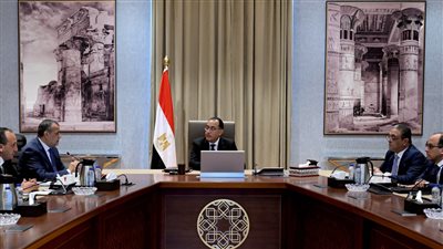 الحكومة: تصميم وإنتاج أتوبيس مصري للنقل الجماعي يعمل بالطاقة النظيفة وتوريد 110 أتوبيسات للقاهرة والإسكندرية