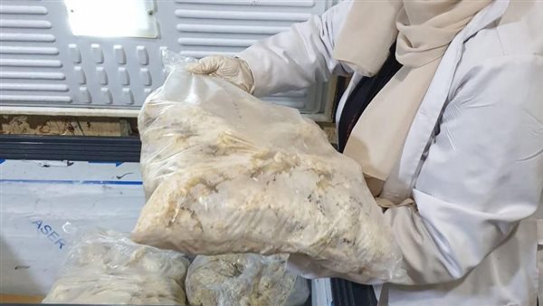 جانب من المضبوطات