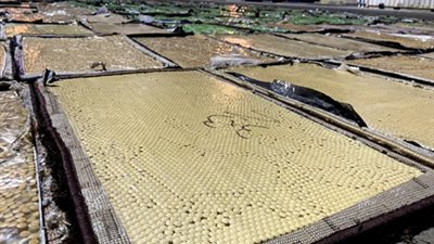 أكبر ضربة أمنية.. ضبط سفينة سجاد مقبلة من الخارج على متنها مواد مخدرة بمليار و500 مليون جنيه